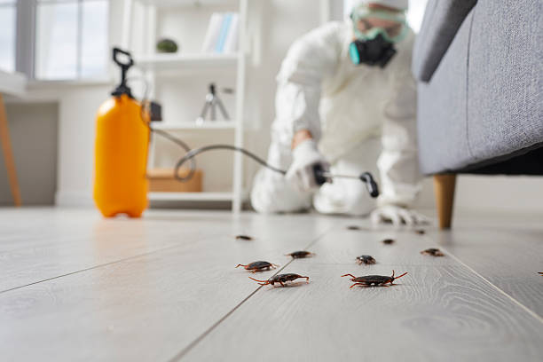 Commercial Kitchen Cockroach Control in Jerome